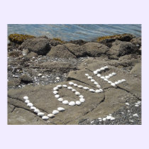 Seashell Art on the Beach posters