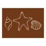 Seashell Beach Invitations at Zazzle