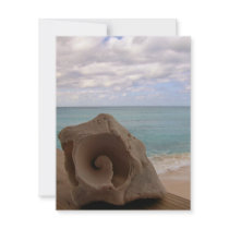 Seashell Beach Paradise Invites