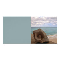 Seashell Beach Paradise Photo Greeting Card