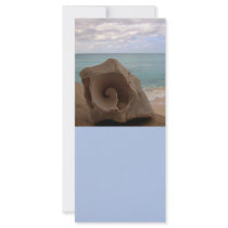 Seashell Beach Paradise Rack Card Design
