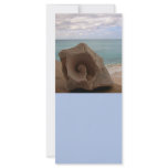 Seashell Beach Paradise Rack Card Design