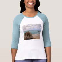 Seashell Beach Paradise Tee Shirt