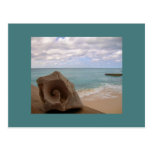 Seashell Beach Vacation Post Card