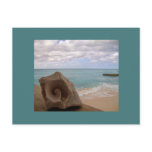Seashell Beach Vacation Post Card