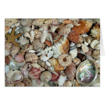 Seashell Card by FloridaSiren Seashell Card