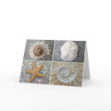 Seashell Collage cards