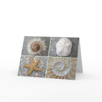 Seashell Collage cards