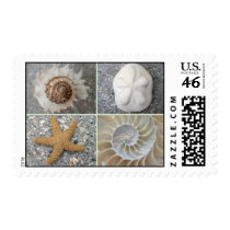 Seashell Collage postage