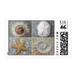 Seashell Collage Postage Stamps