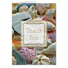   Seashell Custom Thank You Note Card