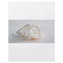 Seashell day dreams flyers