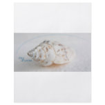 Seashell day dreams flyers