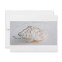 Seashell day dreams invitations by vanpinni Seashell day dreams invitations