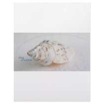 Seashell day dreams letterhead