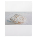 Seashell day dreams letterhead template