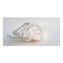 Seashell day dreams photo cards by vanpinni Seashell day dreams photo cards