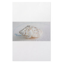 Seashell day dreams stationery by vanpinni Seashell day dreams stationery