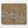 Seashell (FreeWallpaperBlog.com)