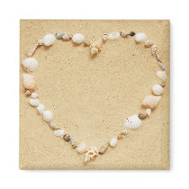 Seashell Heart Magnets