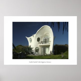 Seashell House print