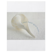 Seashell, I can hear you now flyers