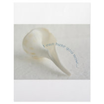 Seashell, I can hear you now Letterhead Design