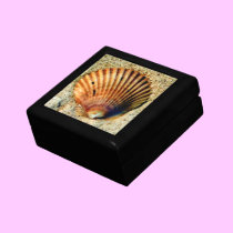 Seashell Jewelry Box gift boxes