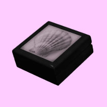 Seashell Jewelry Box gift boxes