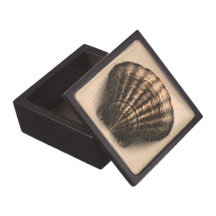 Seashell Jewelry Box Premium Gift Box