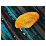 seashell letterhead design