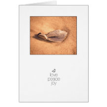 Seashell Love Peace Joy Beach Christmas Greeting Card