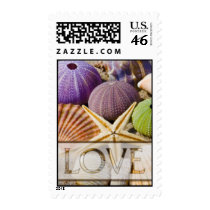 Seashell Love Postage