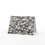 Seashell Note Card