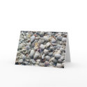 Seashell Note Card