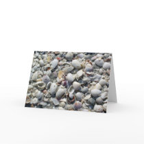 Seashell Note Card by foureyedgirl Seashell Note Card