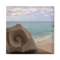 Seashell on the Beach Photo Magnet