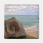 Seashell on the Beach Photo Magnet