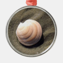 Seashell Ornament