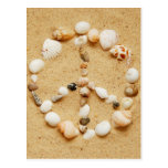 Seashell Peace Sign Postcard postcards