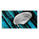 seashell photo cards
