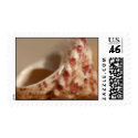 Seashell postage
