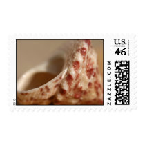 Seashell postage