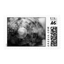 Seashell postage