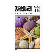 Seashell Postage