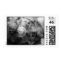 Seashell stamps