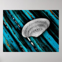 seashell print