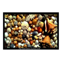 Seashell_ Poster_by Elenne Boothe posters by ELENNE Seashell_ Poster_by Elenne Boothe posters