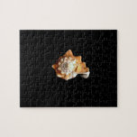 Seashell Puzzle