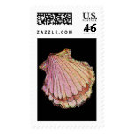 SEASHELL SCALLOP by SHARON SHARPE Postage Stamp